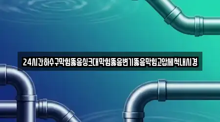 24시간하수구막힘뚫음싱크대막힘뚫음변기뚫음막힘고압세척내시경
