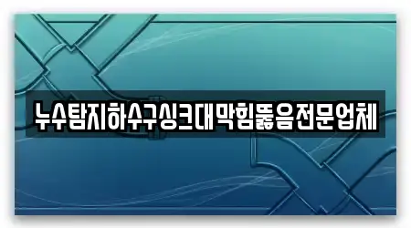 누수탐지하수구싱크대막힘뚫음전문업체