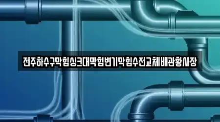 전주하수구막힘싱크대막힘변기막힘수전교체배관황사장