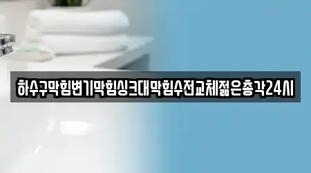 하수구막힘변기막힘싱크대막힘수전교체젊은총각24시