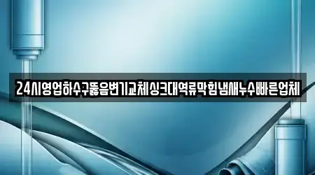 24시영업하수구뚫음변기교체싱크대역류막힘냄새누수빠른업체
