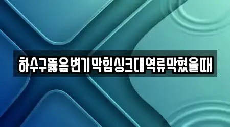 하수구뚫음변기막힘싱크대역류막혔을때