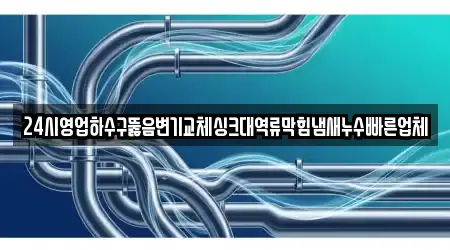 24시영업하수구뚫음변기교체싱크대역류막힘냄새누수빠른업체