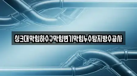 싱크대막힘하수구막힘변기막힘누수탐지방수공사