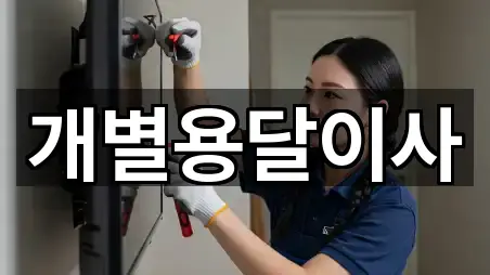 전북특별자치도 금과면 용달이사 주변 찾기 2곳