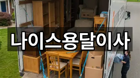 나이스용달이사