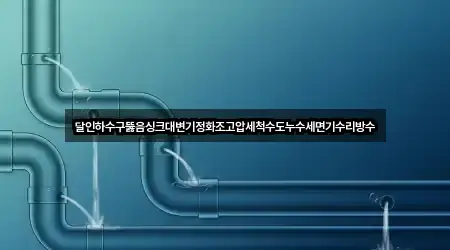 달인하수구뚫음싱크대변기정화조고압세척수도누수세면기수리방수