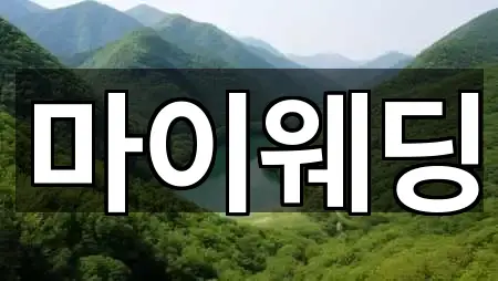 강원특별자치도 춘천시 중앙로1가 웨딩드레스 2곳 위치 검색