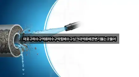 마포구하수구역류하수구막힘배수구싱크대역류배관변기뚫는곳뚫어