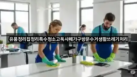 유품정리집정리특수청소고독사폐가구방문수거생활쓰레기처리