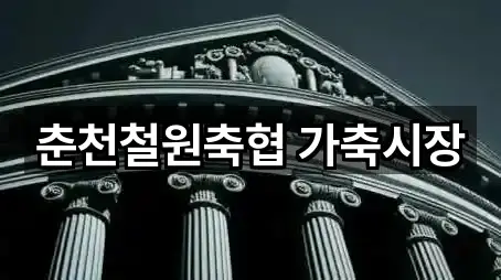 춘천철원축협 가축시장