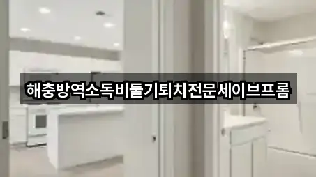 북구 청풍동 포장이사 5곳 원스톱 보기