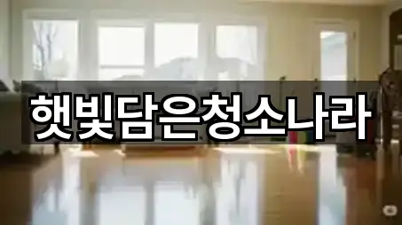 햇빛담은청소나라