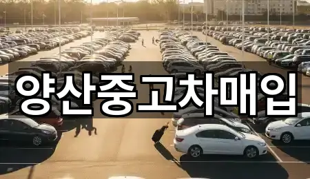 양산중고차매입