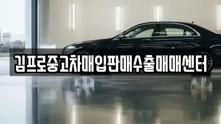 강원 고성군 간성읍 중고차 전문 김프로중고차매입판매수출매매센터