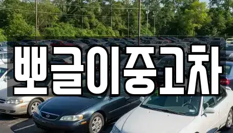 강원 고성군 간성읍 중고차매매 전문 뽀글이중고차