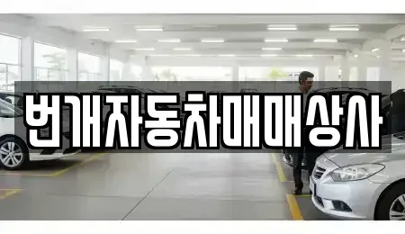 강원특별자치도 강릉시 지변동 중고차 전문 번개자동차매매상사
