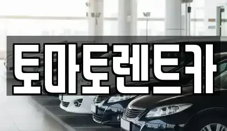 경기 양주시 만송동 렌트카 전문 토마토렌트카