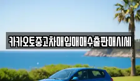 경기 양주시 만송동 중고차 전문 카카오토중고차매입매매수출판매시세