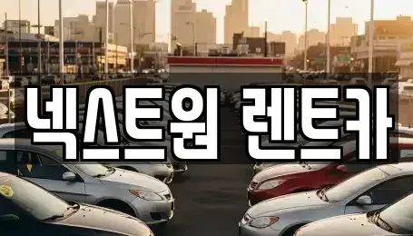 경기 오산시 탑동 렌트카 전문 넥스트원 렌트카
