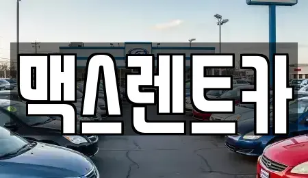 경기 용인시 기흥구 고매동 렌트카 전문 맥스렌트카