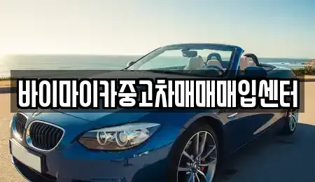 경기 용인시 기흥구 고매동 중고차매매 전문 바이마이카중고차매매매입센터