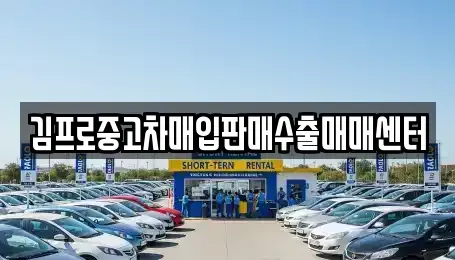 경기 용인시 기흥구 고매동 중고차매입 전문 김프로중고차매입판매수출매매센터