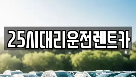 경기 용인시 처인구 원삼면 렌트카 전문 25시대리운전렌트카