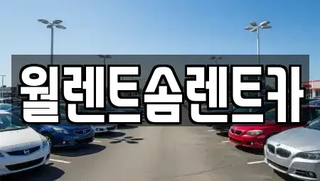 경기 용인시 처인구 원삼면 렌트카 전문 월렌트솜렌트카