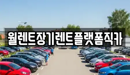 경기 용인시 처인구 원삼면 장기렌트카 전문 월렌트장기렌트플랫폼직카