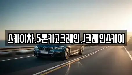 경기 용인시 처인구 원삼면 중고차매매 전문 스카이차.5톤카고크레인.J크레인스카이