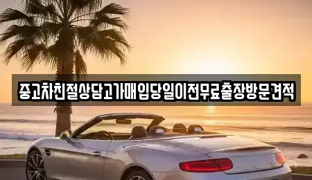 경기 용인시 처인구 원삼면 중고차매입 전문 중고차친절상담고가매입당일이전무료출장방문견적