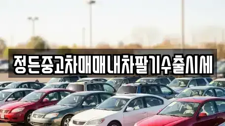 경기 이천시 백사면 중고차 전문 정든중고차매매내차팔기수출시세