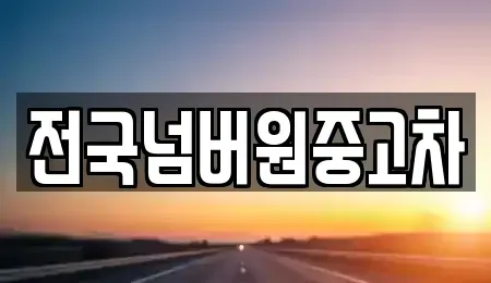 경기도 광주시 장지동 중고차매매 전문 전국넘버원중고차