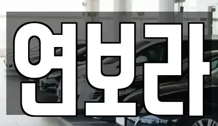 경기도 동두천시 생연동 렌트카 전문 연보라