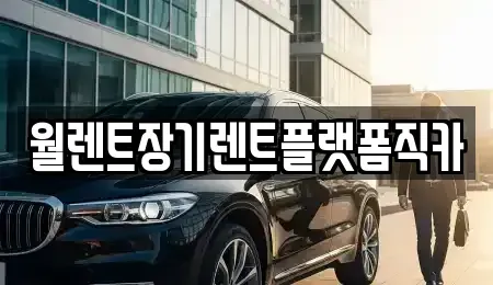 경기도 동두천시 생연동 장기렌트카 전문 월렌트장기렌트플랫폼직카
