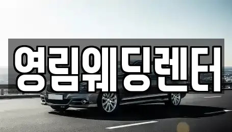 경기도 성남시 수정구 시흥동 단기렌트카 전문 영림웨딩렌터