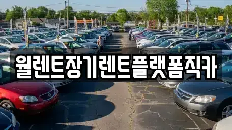 경기도 성남시 수정구 시흥동 렌트카 전문 월렌트장기렌트플랫폼직카