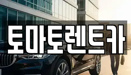 경기도 성남시 수정구 시흥동 렌트카 전문 토마토렌트카