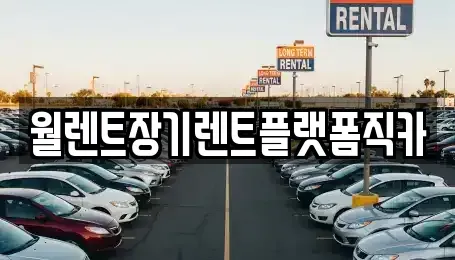 경기도 오산시 가장동 장기렌트카 전문 월렌트장기렌트플랫폼직카