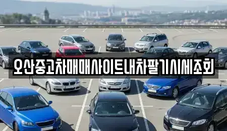 경기도 오산시 가장동 중고차매매 전문 오산중고차매매사이트내차팔기시세조회