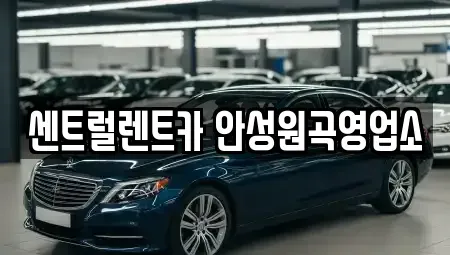 경기도 평택시 월곡동 렌트카 전문 센트럴렌트카 안성원곡영업소