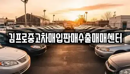 경남 김해시 주촌면 단기렌트카,중고차매입,중고차매매,중고차,렌트카,장기렌트카