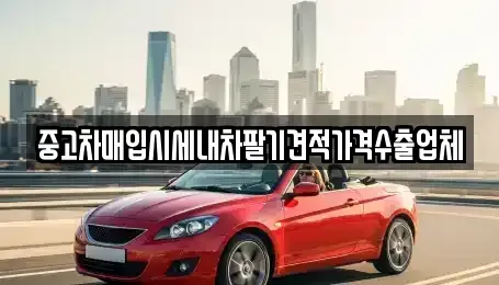 경남 김해시 주촌면 중고차매입 전문 중고차매입시세내차팔기견적가격수출업체