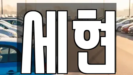 경남 함안군 칠북면 중고차 전문 세현