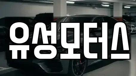 경남 함안군 칠북면 중고차 전문 유성모터스