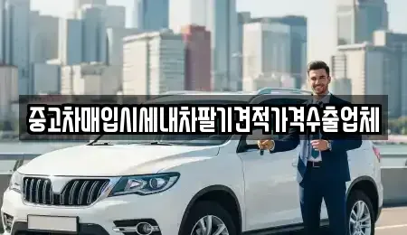 경북 상주시 만산동 중고차 전문 중고차매입시세내차팔기견적가격수출업체