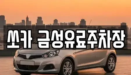 경북 안동시 법흥동 렌트카 전문 쏘카 금성유료주차장