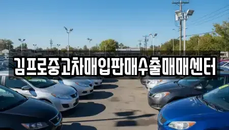 경북 포항시 남구 장흥동 중고차매입 전문 김프로중고차매입판매수출매매센터