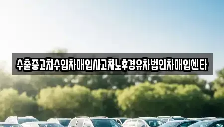 경북 포항시 남구 장흥동 중고차매입 전문 수출중고차수입차매입사고차노후경유차법인차매입센타